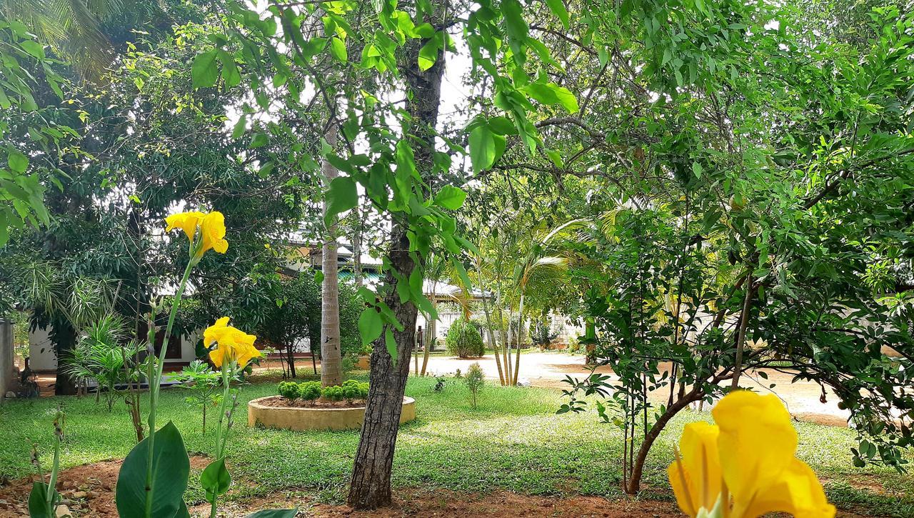 Tamarind Tamarind Resort, Tourist Board Approved Habarana Dış mekan fotoğraf
